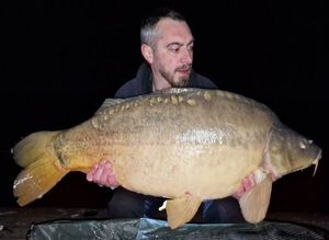 Mirror Carp