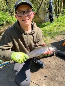 Rainbow Trout