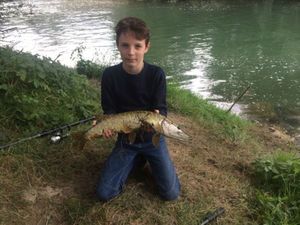 Northern Pike