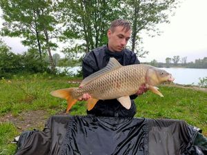 Mirror Carp
