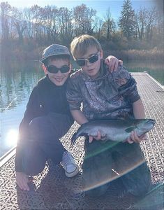 Rainbow Trout