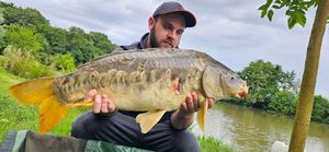 Mirror Carp