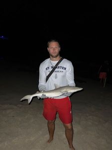 Requin à Museau-Pointu