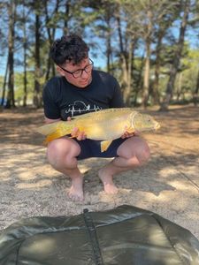 Leather Carp