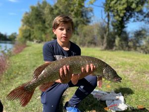 Northern Pike