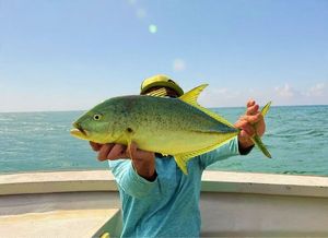 Bluefin Trevally
