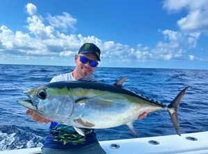 Blackfin Tuna
