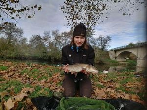 Barbel