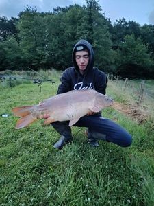 Mirror Carp