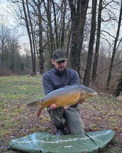 Mirror Carp