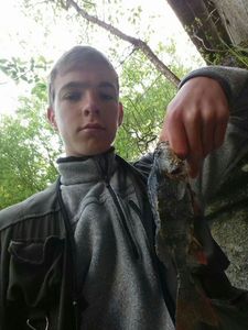 European Perch