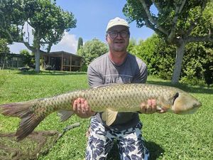 Grass Carp