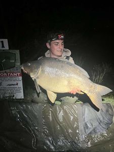 Leather Carp
