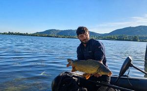 Common Carp
