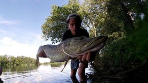 Northern Pike