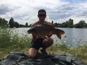 Common Carp