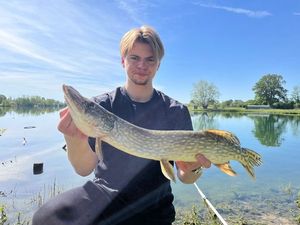 Northern Pike