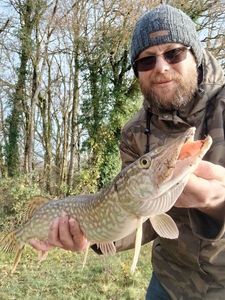 Northern Pike