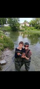 Rainbow Trout
