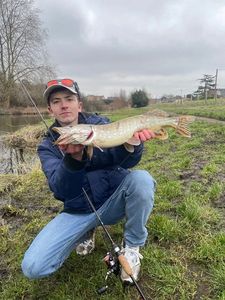 Northern Pike