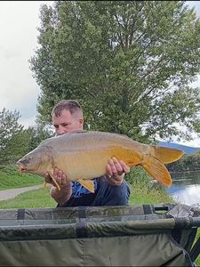Mirror Carp