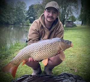 Common Carp