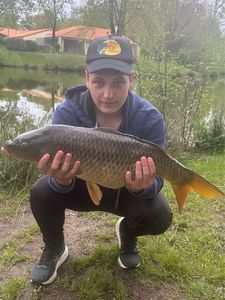 Common Carp