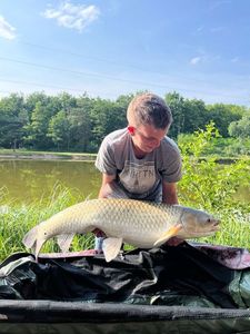 Grass Carp