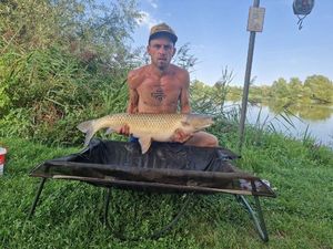 Grass Carp