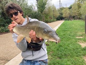 Barbel