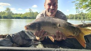 Mirror Carp