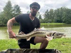 Starry Sturgeon