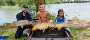 Common Carp