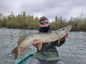 Northern Pike