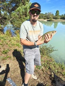Largemouth Bass