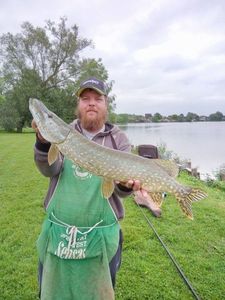 Northern Pike
