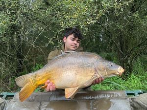 Mirror Carp