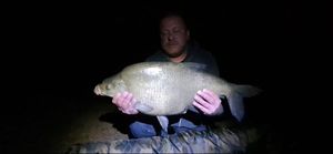 Common Bream