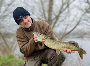 Northern Pike