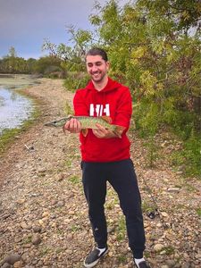 Northern Pike