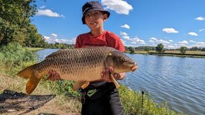 Common Carp
