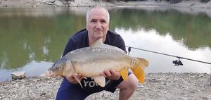 Mirror Carp