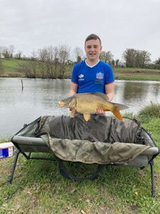 Common Carp