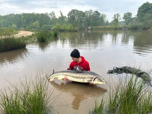 Sturgeon