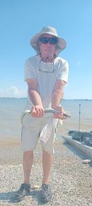 European Eel (Common Eel)