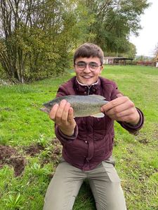 Largemouth Bass