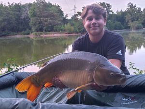 Mirror Carp