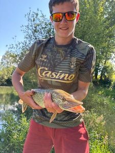 Northern Pike