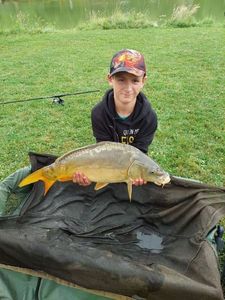 Mirror Carp