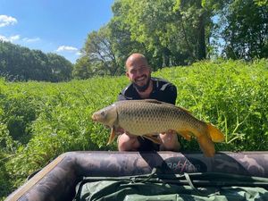 Common Carp